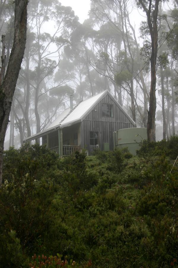 Moina Wombat Cabin 빌라 외부 사진