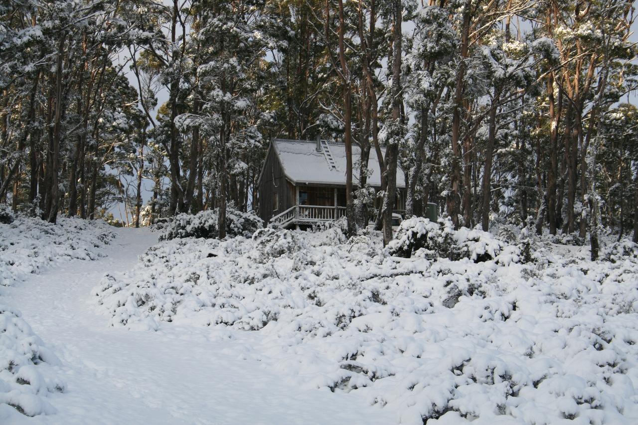 Moina Wombat Cabin 빌라 외부 사진